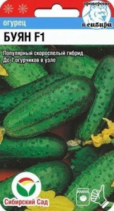 Огурец Буян 7шт купить