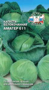 Капуста Амагер 611  купить