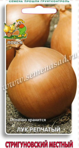 Лук (репчатый) Стригуновский местный купить