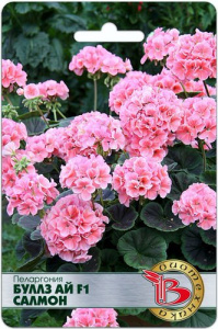 Пеларгония садовая Буллз Ай F1 Салмон купить