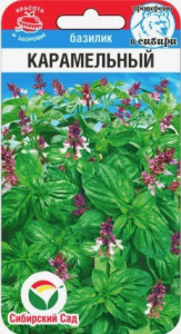 Базилик Карамельный купить