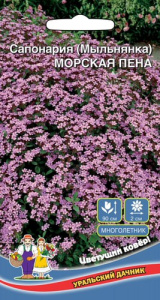 Сапонария (Мыльнянка) Морская Пена  купить