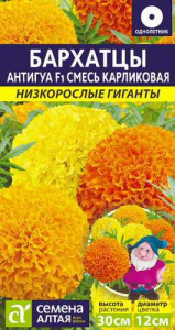 Бархатцы Антигуа F1 Смесь карликовая  Низкорослые гиганты купить