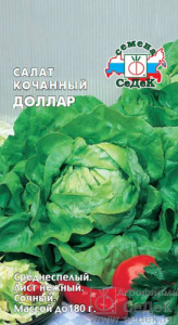 Салат Доллар (кочанный) купить