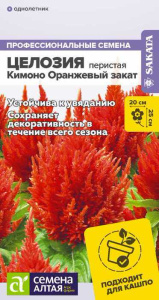 Целозия Перистая Кимоно Оранжевый закат 