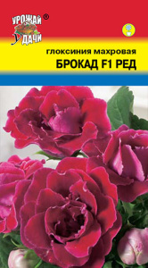 Глоксиния Брокад Ред F1 махровая купить