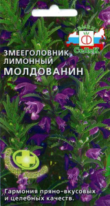 Змееголовник лимонный Молдованин  купить