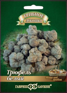 Трюфель белый Российский на зерновом субстрате  купить