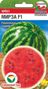 Арбуз Мирза купить