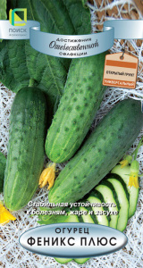 Огурец Феникс Плюс купить