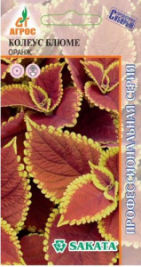 Колеус Блюме Оранж  купить