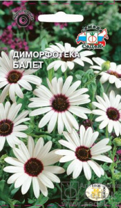 Диморфотека Балет  купить