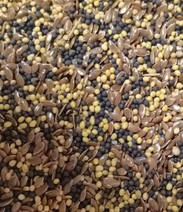 Смесь сидератов (горч.,рапс.,лен масл.) 1кг купить