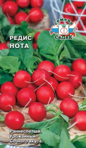 Редис Нота  купить