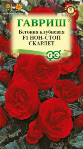 Бегония Нон-Стоп Скарлет  купить