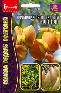 Пузырник Пуч-Пуч древовидный купить