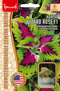 Колеус Визард Роуз ( Wizard Rose) F1 купить