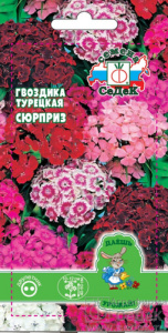 Гвоздика Сюрприз ДУ купить