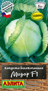 Капуста Мидор F1  купить