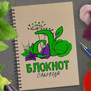 Блокнот Авторский Семена Алтая купить