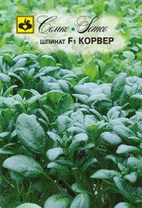 Шпинат Корвер F1 купить