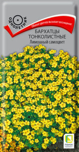 Бархатцы Лимонный самоцвет тонколистные купить