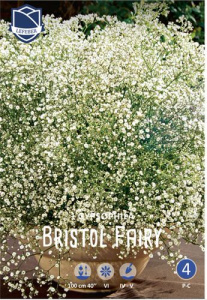 Гипсофила Bristol Fairy /1шт купить