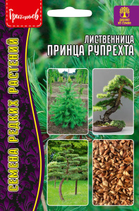 Лиственница Принца Рупрехта купить