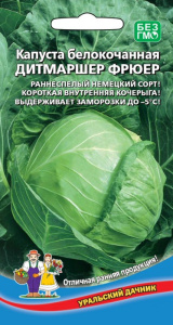 Капуста Дитмаршер Фрюер купить