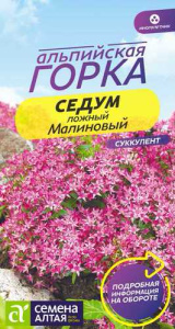 Седум Малиновый  многолетник купить
