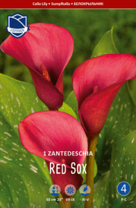 Калла syn.Zantedeschia Red Sox /1шт купить