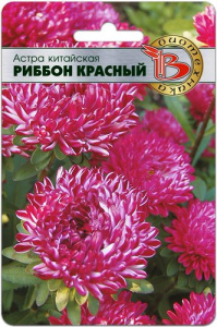 Астра Риббон Ред  купить