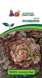 Салат Розмари кочанный  купить