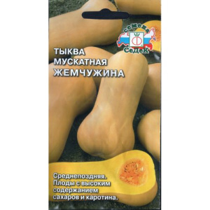 Тыква Жемчужина мускатная  купить