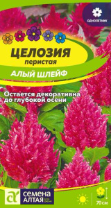 Целозия перистая Алый шлейф купить