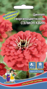 Цинния Сэлмон Квин георгиноцветковая (УД)  купить