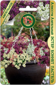 Алиссум Эстер Боннет Пастель купить