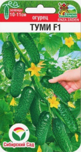 Огурец Туми купить