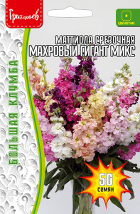 Маттиола Махровый Гигант Микс срезочная купить