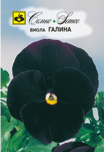 Виола Галина  купить