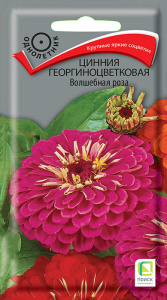 Цинния Волшебная роза купить