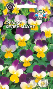 Фиалка Хелен маунт купить