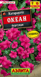 Катарантус Океан бургунди Farao купить