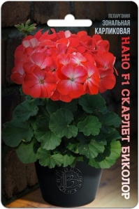 Пеларгония зональная карликовая Нано F1 Скарлет Биколор  купить