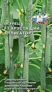 Огурец Хрустящий Аллигатор F1 купить