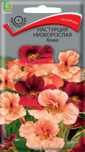 Настурция низкорослая Кения купить