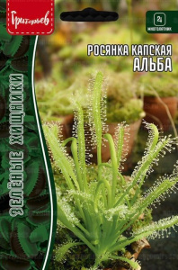 Росянка Альба капская  (Хищник) купить