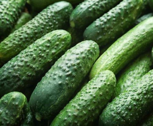 Огурец Паратунка F1 (500шт) купить