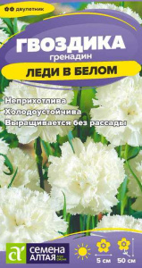 Гвоздика гренадин Леди в белом купить
