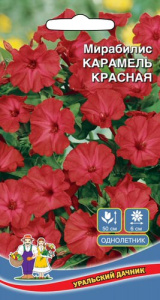 Мирабилис Карамель Красная  купить